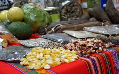 Las culturas pre incas e inca utilizaron super alimentos. Foto: Agencia ANDINA/difusión.